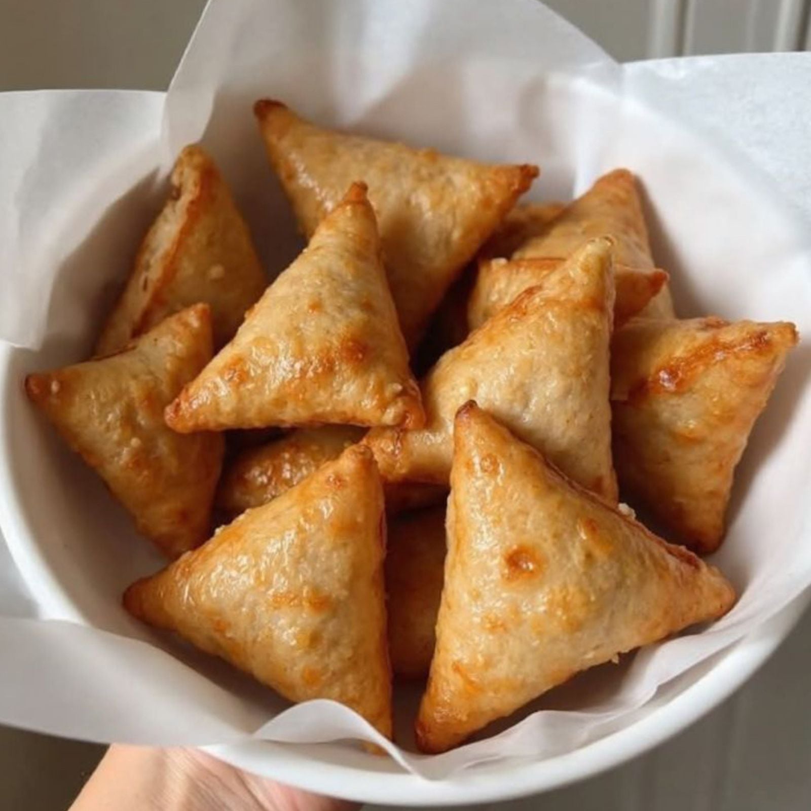 Chicken Samosa